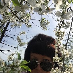 ���� �������, ������, 50 ��� - ��������� 19 �������� 2019