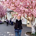 ���� �������, �������, 45 ��� - ��������� 28 ������ 2019 � ������ ���� ����������