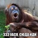  , , 60  -  12  2019         .