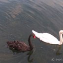 ���� Hellen, �����, 31 ��� - ��������� 11 ���� 2019 � ������ ���� ����������