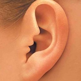 ������, ������, 34 ����