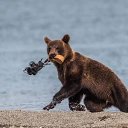 ���� ���������, �����-��������� - ��������� 14 ������� 2019 � ������ ������ ��������