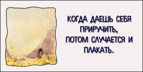10      .#@ican - 8
