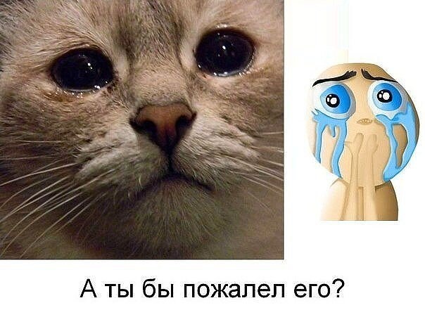 ? ,  ! - 16  2019  18:39