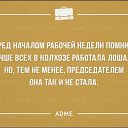  , , 60  -  8  2019    ...