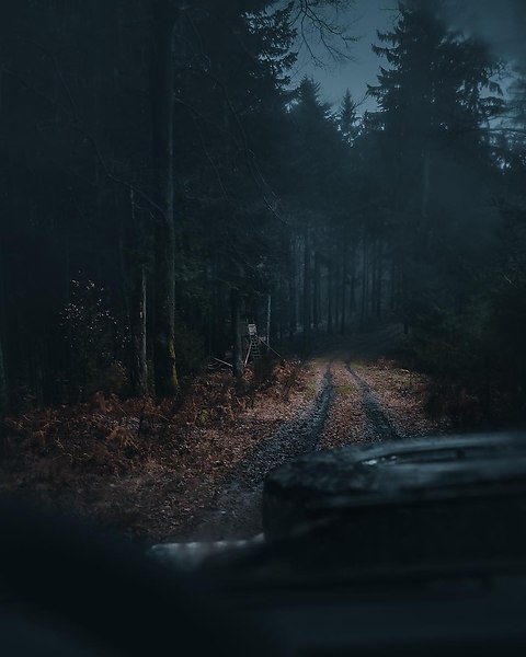   .  - 4