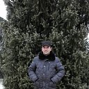 ���� ������, ������, 54 ���� - ��������� 8 ���� 2019