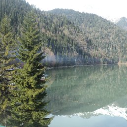 ���� �������, ��������� - ��������� 15 ���� 2019