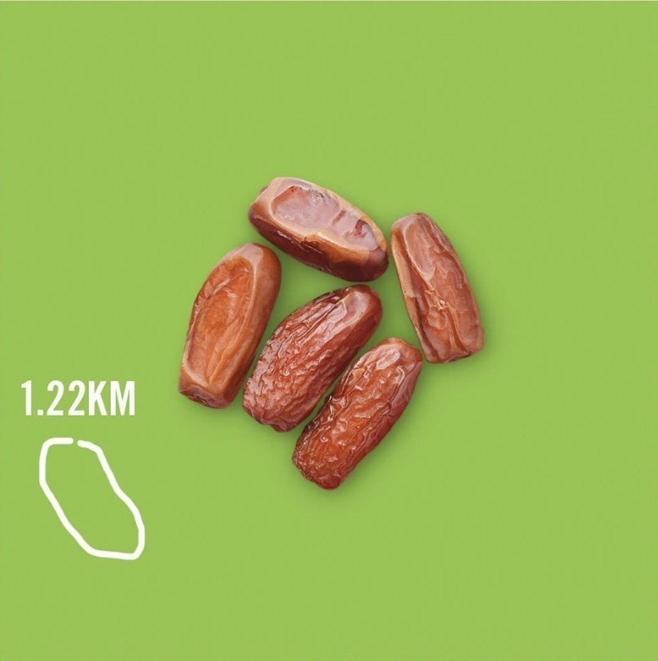    social_calories (Instagram). ,    , ... - 9