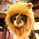 ���� �����i�, ������� ����, 50 ��� - ��������� 31 ��� 2019