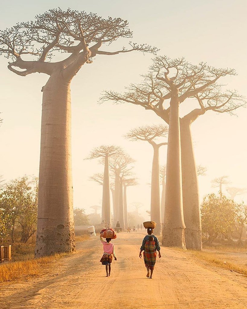 Morondava, Madagascar