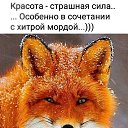 ���� ������� �������, ��������, 55 ��� - ��������� 13 �������� 2019 � ������ ���� ����������