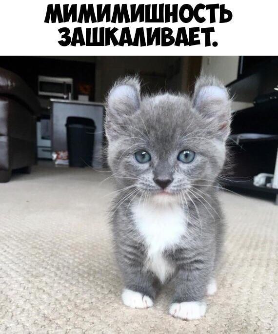    :D - 9  2019  03:46