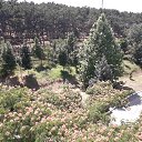 ���� �������, �����������, 47 ��� - ��������� 22 ������� 2019 � ������ ���� ����������