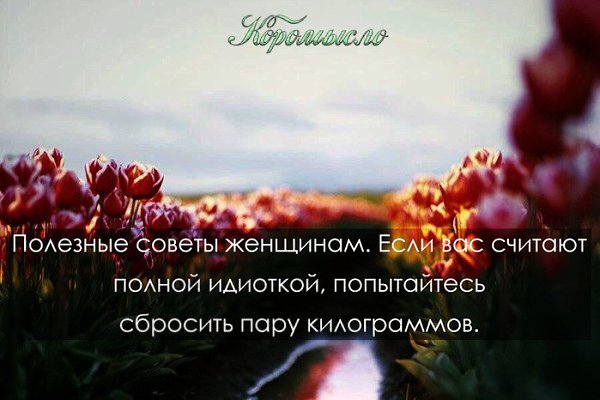  !)