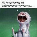   =^..^=,  -  25  2019   