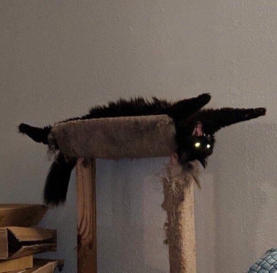 oo o