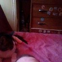 ���� �������, ������, 42 ���� - ��������� 19 ������ 2019