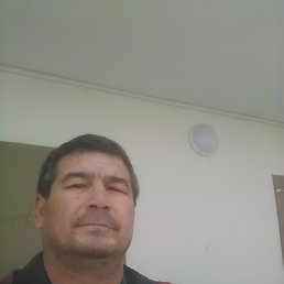 �����, �������, 55 ���