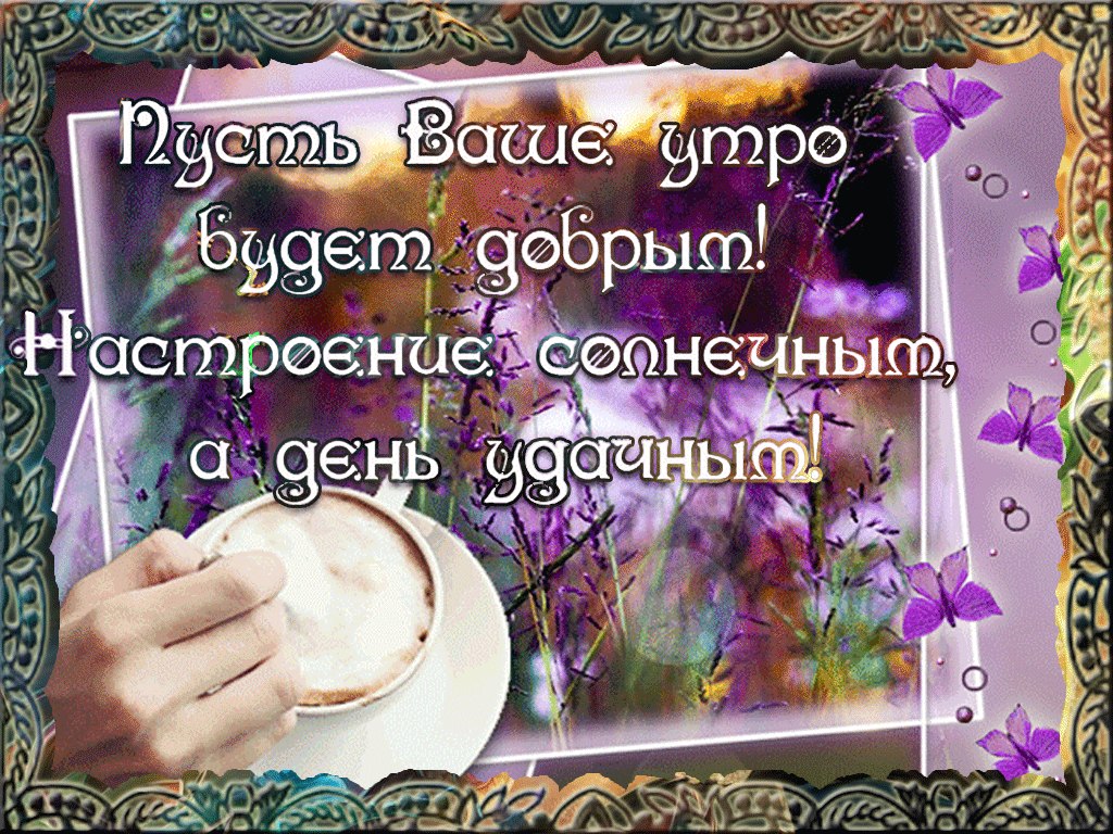   ,    . - 19  2019  22:49