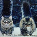 ���� Grus, �������� - ��������� 21 ������ 2019 � ������ ��������