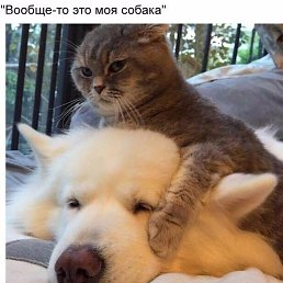 ���� �����, ������, 58 ��� - ��������� 16 ������� 2019