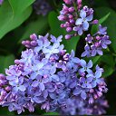 ���� ����, ����� - ��������� 26 ���� 2019 � ������ ���� ����������