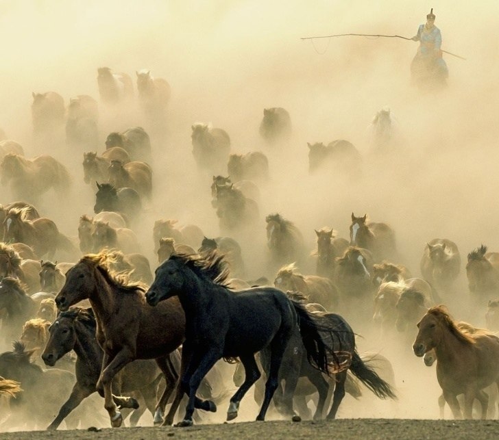  National Geographic   - 10