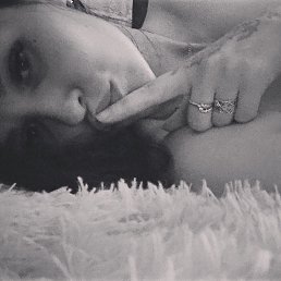 , 33 ,  