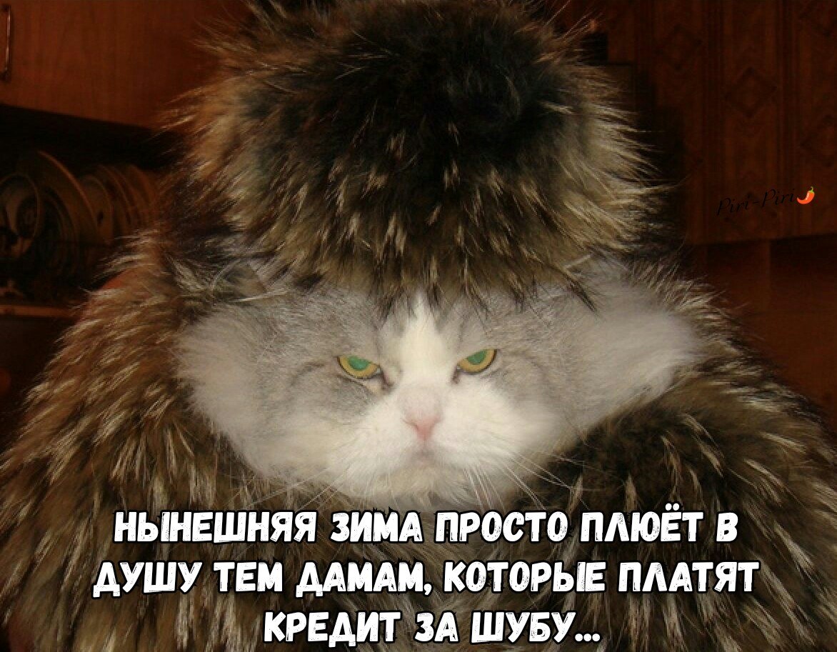   - 29  2019  07:50