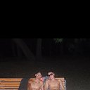 ���� ������, ����, 38 ��� - ��������� 3 ������ 2019