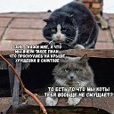 ���� Ray, ������, 57 ��� - ��������� 17 ������� 2019 � ������ ������ ��������