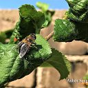 ���� Ashot, ������, 67 ��� - ��������� 11 ���� 2019 � ������ ������ ��������