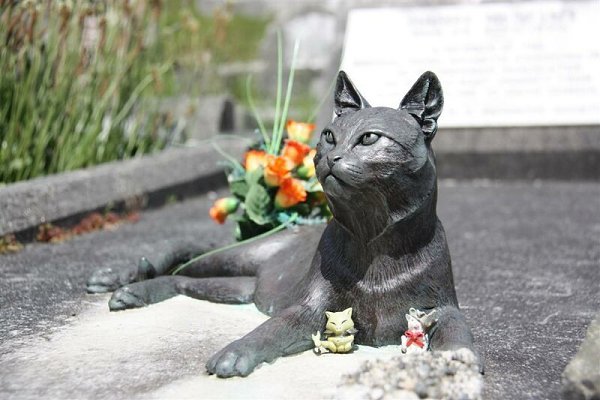 Памятник Миссис Чиппи.Бронзовая кошечка украшает могилу полярника, который привез первого кота в ... - 2
