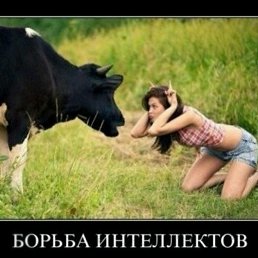 ���� ���������, ������ ��������, 44 ���� - ��������� 30 ���� 2019
