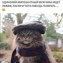 ���� ��������, �����-��������� - ��������� 27 ������� 2019 � ������ ���� ����������