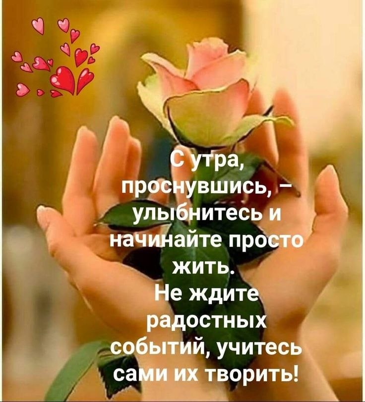   ,    . - 6  2019  09:04