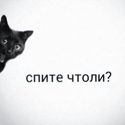 ���� �������, ������, 52 ���� - ��������� 13 ��� 2019