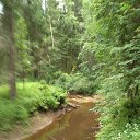 ���� �����, �����-���������, 69 ��� - ��������� 7 ���� 2019