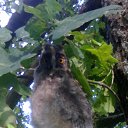 ���� �����, �����, 31 ��� - ��������� 25 �������� 2019 � ������ ���� ����������