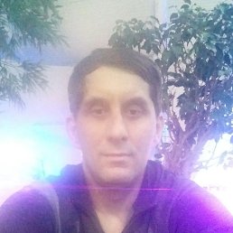 ������, ������, 46 ���