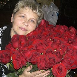 ����, ������, 73 ����