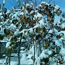 ���� ����, ��������� - ��������� 20 ������� 2019 � ������ ������ ��������