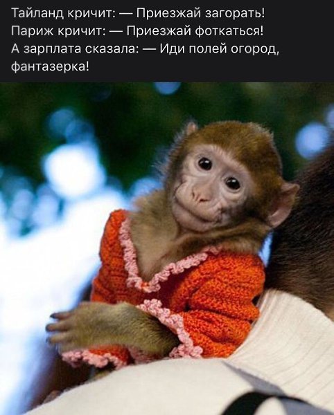 ***Victoria Viktorovna*** - 17  2019  02:16