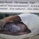 ���� ��������, ��������, 49 ��� - ��������� 30 ������� 2019 � ������ ���� ����������