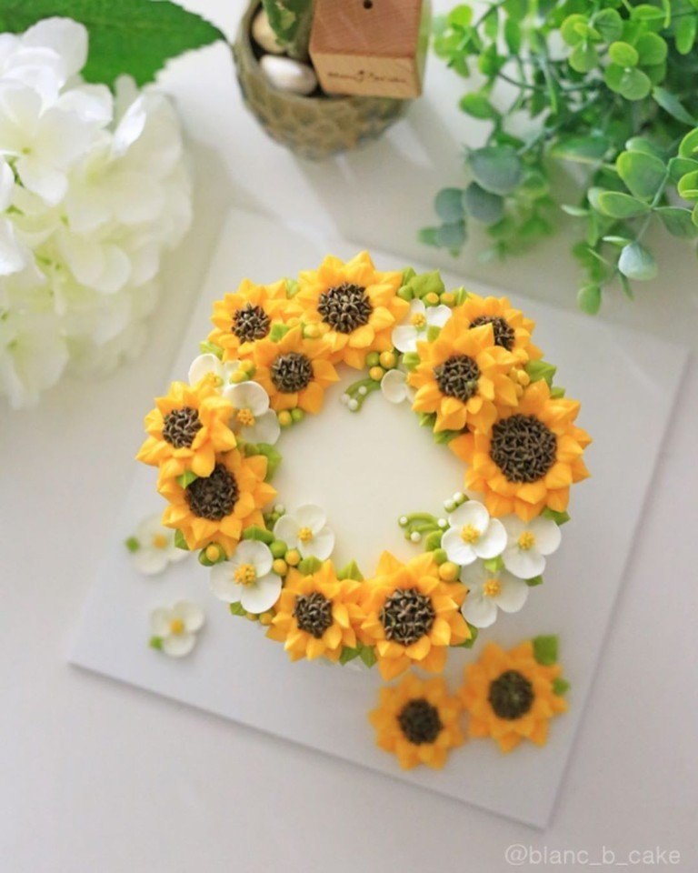   ,   .: blanc_b_cake#@bon