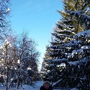 �. �����������, ���������, ������� 2017�. �� ������� ���� ����������