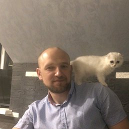 ����, ��������, 42 ����