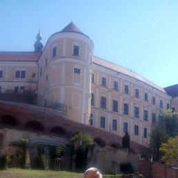 ������, �������, 54 ����