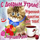 ���� ������, ����-���, 68 ��� - ��������� 11 �������� 2019 � ������ ���� ����������